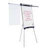 Lavagna portablocco New Shark Nobo - 68x100 cm Lavagna portablocco New Shark Nobo - 68x100 cm