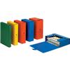 Scatola portaprogetti Eurobox Esselte - dorso 10 - 25x35 cm - blu