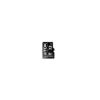 Flash memory card TDK - MicroSDHC Class 4 - 32 GB - t78725