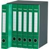 Gruppi di 6 classificatori Essentials Esselte - a 3 lembi - verde
