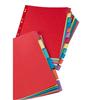 Divisori neutri A4 in mylar a tacche colorate scrivibili Elba - 12 tasti - 21x29,7 cm - assortiti - 100204947 Divisori neutri A4 in mylar a tacche colorate scrivibili Elba - 12 tasti - 21x29,7 cm - assortiti - 100204947