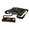 Bilancia pesapacchi Dymo S180 - fino 180 kg - scala 200 gr - 41x40x5 cm