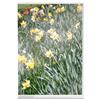Stand Up Sign Holder Double Sided Portrait A4 Clear