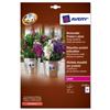 Avery Pricing Labels Removable 45x45mm - L7126-8