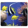 Fellowes Earth Series Recycled Mousepad Under The Sea - 5909301