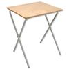 Trexus Examination Table with Grey Foldaway Frame W600xD550xH710mm
