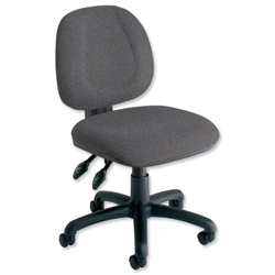 Trexus Plus Medium Back Chair Permanent Contact W460xD450xH480-590mm Back H400mm Pyra Perth