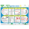 Wallace Cameron Electric Shock Poster Laminated W590xH420mm - 5405026