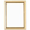 Deluxe Certificate Frame Non Glass Holds A4 Gold