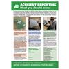 Stewart Superior Accident Reporting Laminated Support Poster - HS108