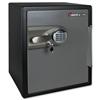 Sentry Fire Safe Water Resistant 120mins Fire Protection - OA5835