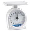 Salter First Choice Letter Scale Manual with Dial 10g Increments Capacity 500g FC0051