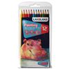 Lakeland Painting Pencils Hexagonal Barrel Water-soluble Hard-wearing Assorted Ref 33254 [Pack 12]