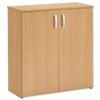 Trexus Basics Budget Cupboard with 2 Doors Low Height - 461763