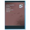5 Star Folder Cut Flush Polypropylene Copy-safe Translucent [Pack 25]