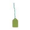Ticket Labels Strung Durable 48x30mm Green [Pack 125]
