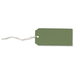 Merit Strung Paper Tags Bulk Boxes Dark Green [Pack 1000]