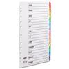 Concord Commercial Dividers Europunched Jan-Dec Coloured Tabs - 69401