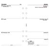 Filofax 2013 Diary Refill Insert Personal Week to View W95xH171mm Ref 6842113 Filofax 2013 Diary Refill Insert Personal Week to View W95xH171mm Ref 6842113