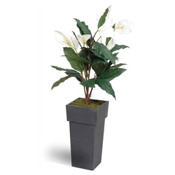 Stewart Superior Artificial Plant in Tall Metal Pot H1200mm Peace Lily Ref 9900201 - Item image