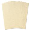Letterhead Presentation Paper Everyday 95gsm A4 Champagne [100 Sheets]