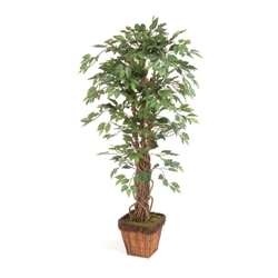 Stewart Superior Artificial Plant H1600mm Ficus Ref 9900129 - Item image