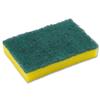 Washing Up Pad Scourer and Sponge [Pack 10] - HP13