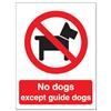 Stewart Superior No Dogs Except Guide Dogs Sign - P091SAV