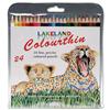 Lakeland Colourthin Colouring Pencils Hexagonal Barrel Hard-wearing Assorted Ref 0700269 [Pack 24]