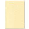 Letterhead Presentation Paper Poster Quality 165gsm A4 Champagne