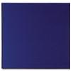 Trexus Floor Standing Screen Lightweight 1200x1200mm Blue - EO1200/120