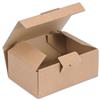 Easi Mailer Kraft Mailing Box W160xD110xH64mm [Pack 20] - 97381001