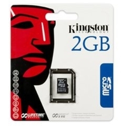Kingston MicroSD/2GB Flash Card -single pack Card Only ( no adaptor )