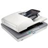 Epson GT-2500N A4 Colour Flatbed Scanner with EPSON Network Image Express card