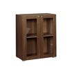 Dynamic Low Glass Bookcase with Doors Walnut