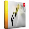 Adobe Fireworks CS5 - Windows English DVD