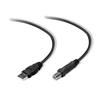 Belkin USB 2.0 Cable USBA-USBB in Charcoal 4.8m - F3U154cp4.8M