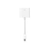 Mini DisplayPort to DVI Adapter - MB570Z/B