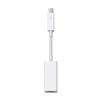Thunderbolt to Gigabit Ethernet Adapter - MD463ZM/A